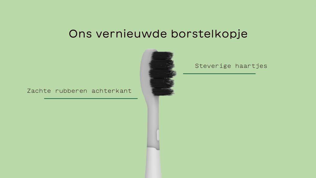 Ons vernieuwde borstelkopje
