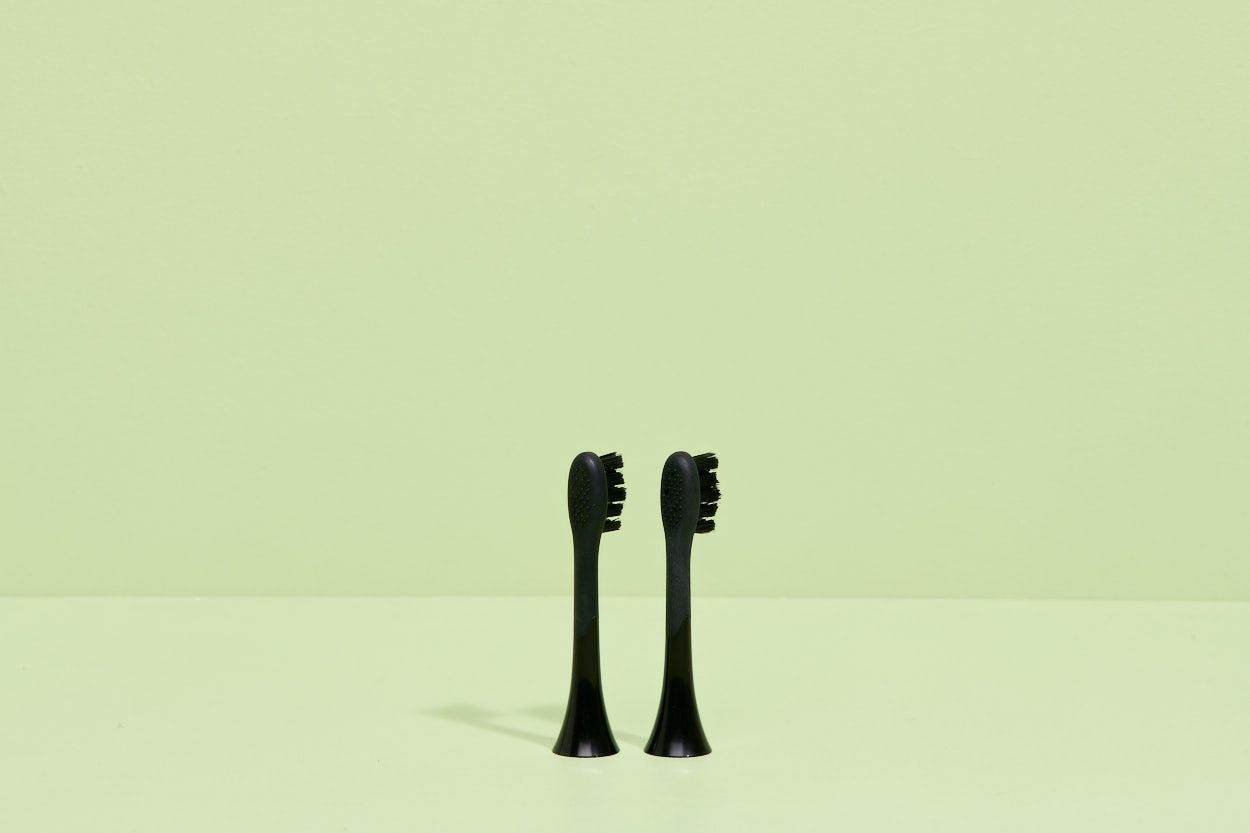 the brush duo