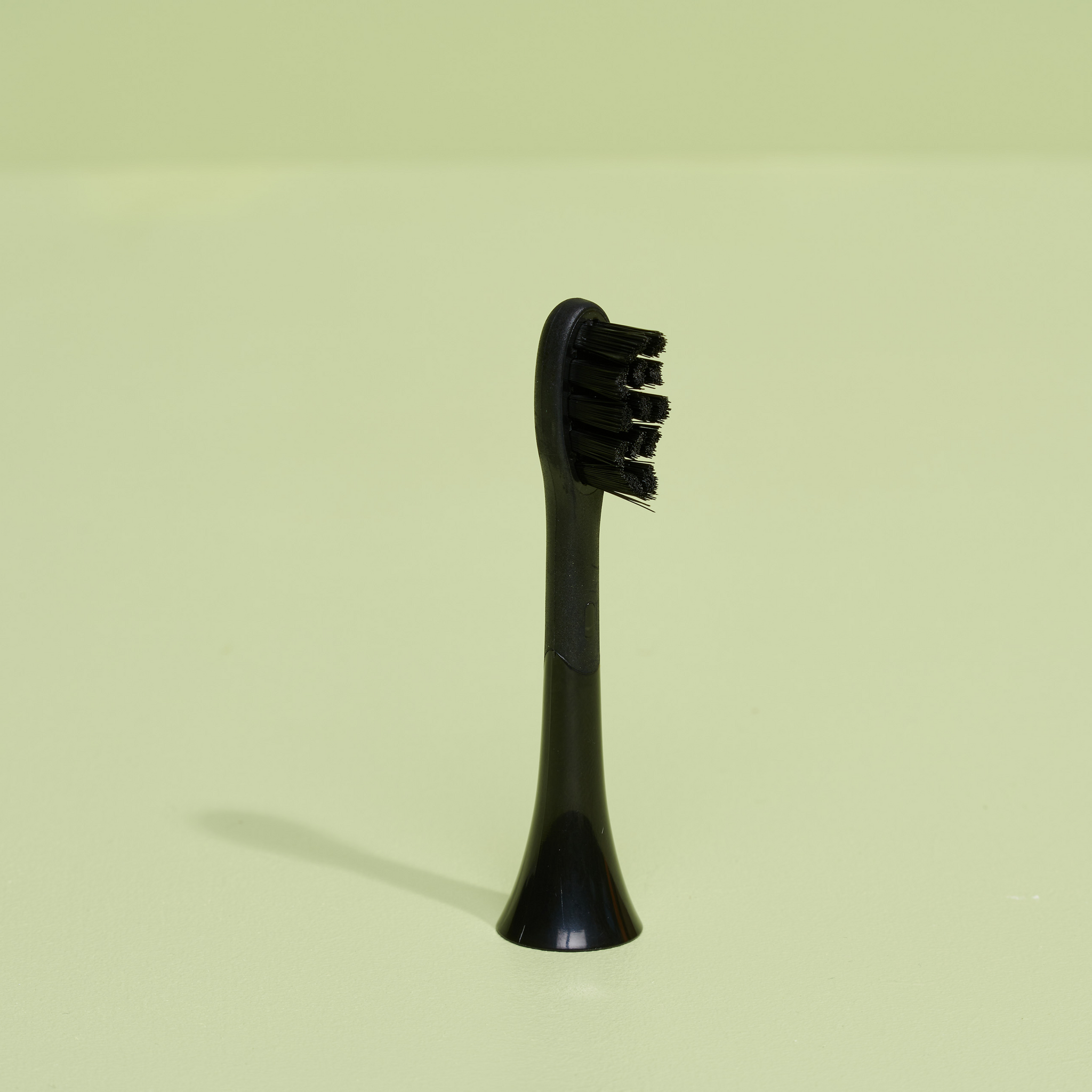 brush head black regular pack