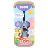 the kiddy brush