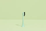 the travel brush