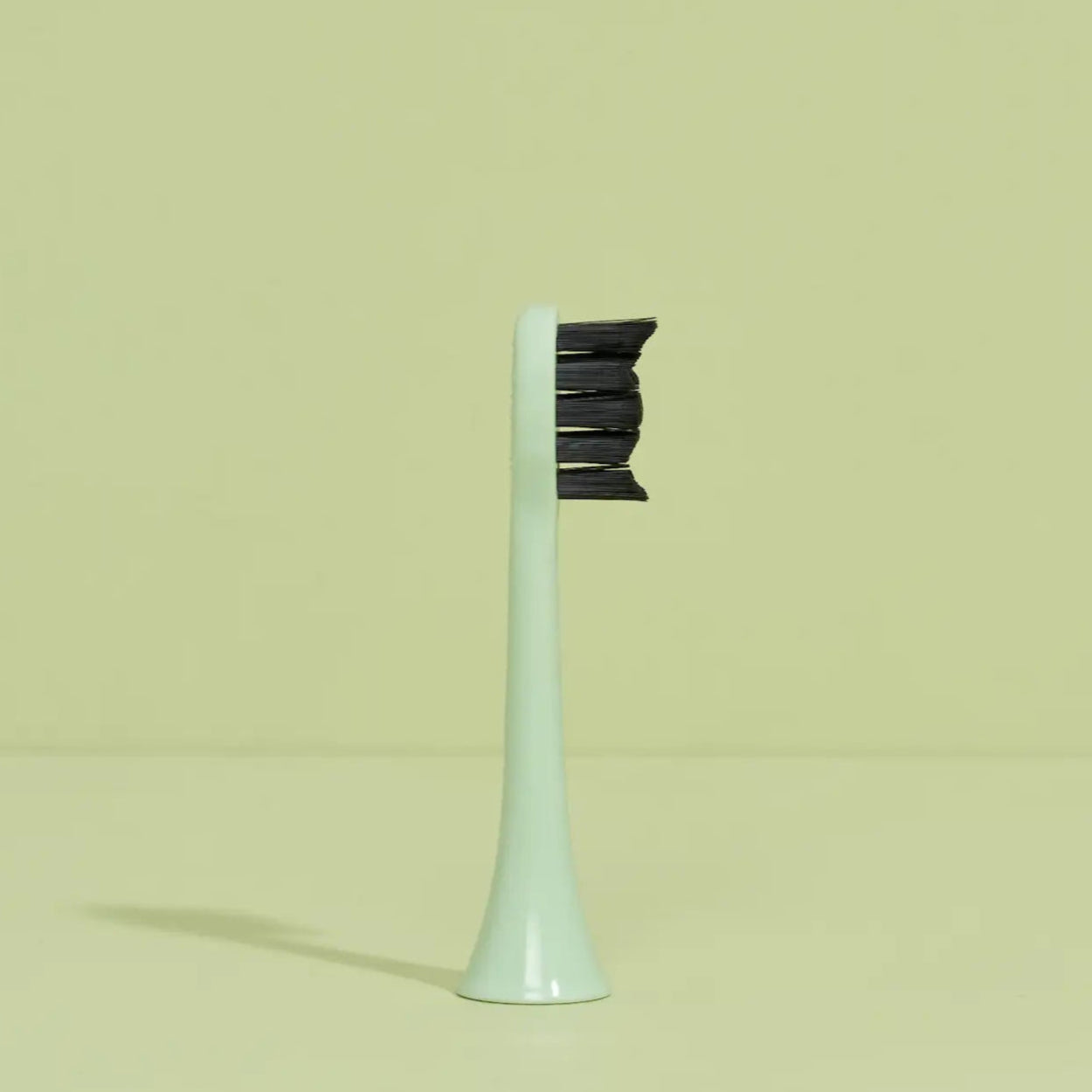 brush head white regular pack