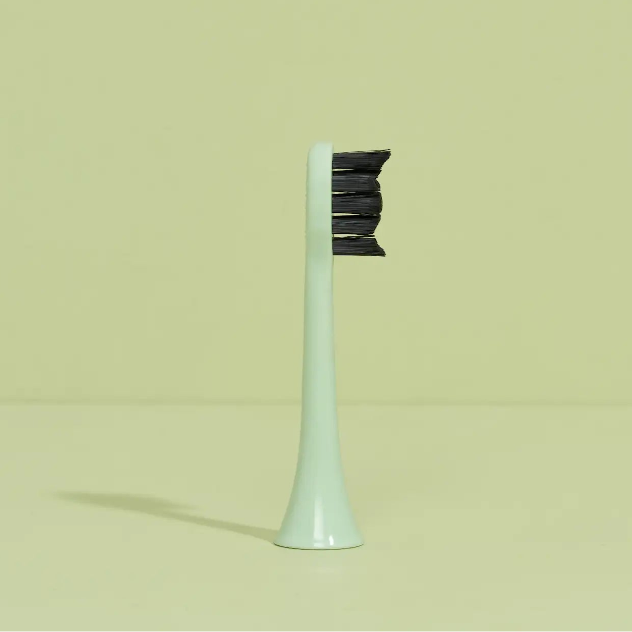 brush head white regular