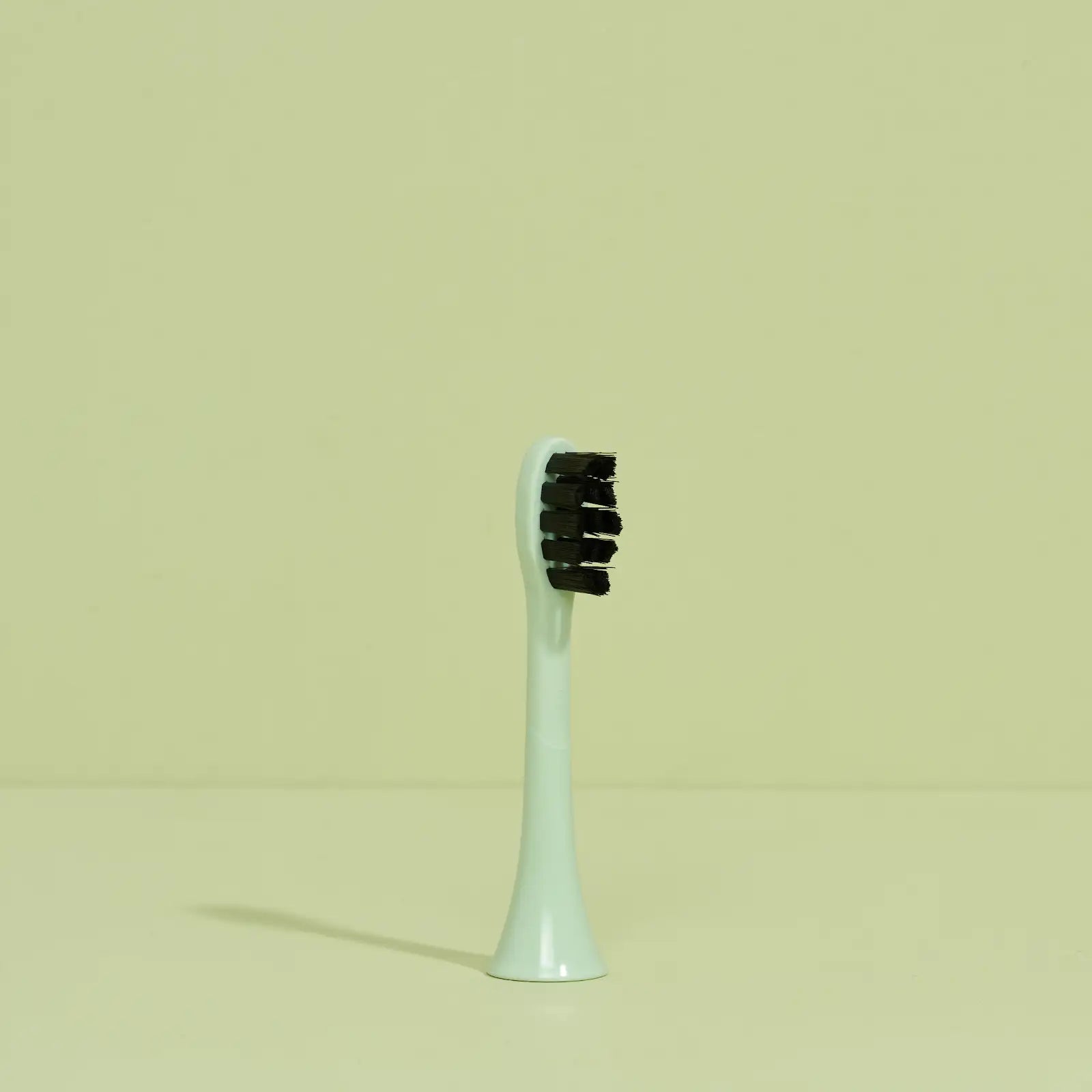 brush head white regular pack