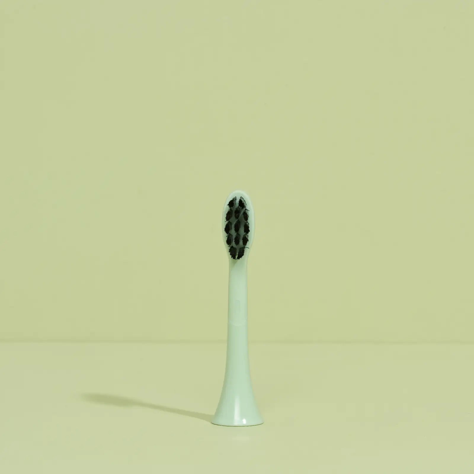 brush head white regular pack
