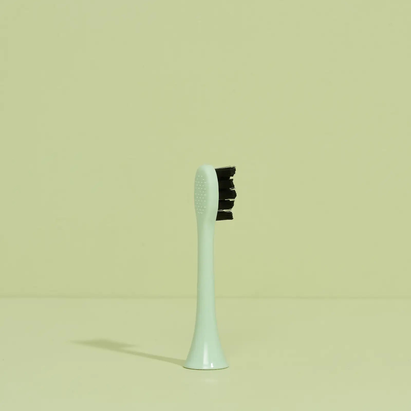 brush head white regular pack