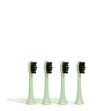 Die Bürstenköpfe Grün