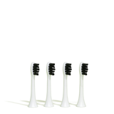 Die Bürstenköpfe 4er-Packung