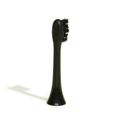 brush head black regular pack