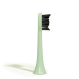 brush head white regular pack