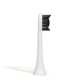 brush head white regular pack