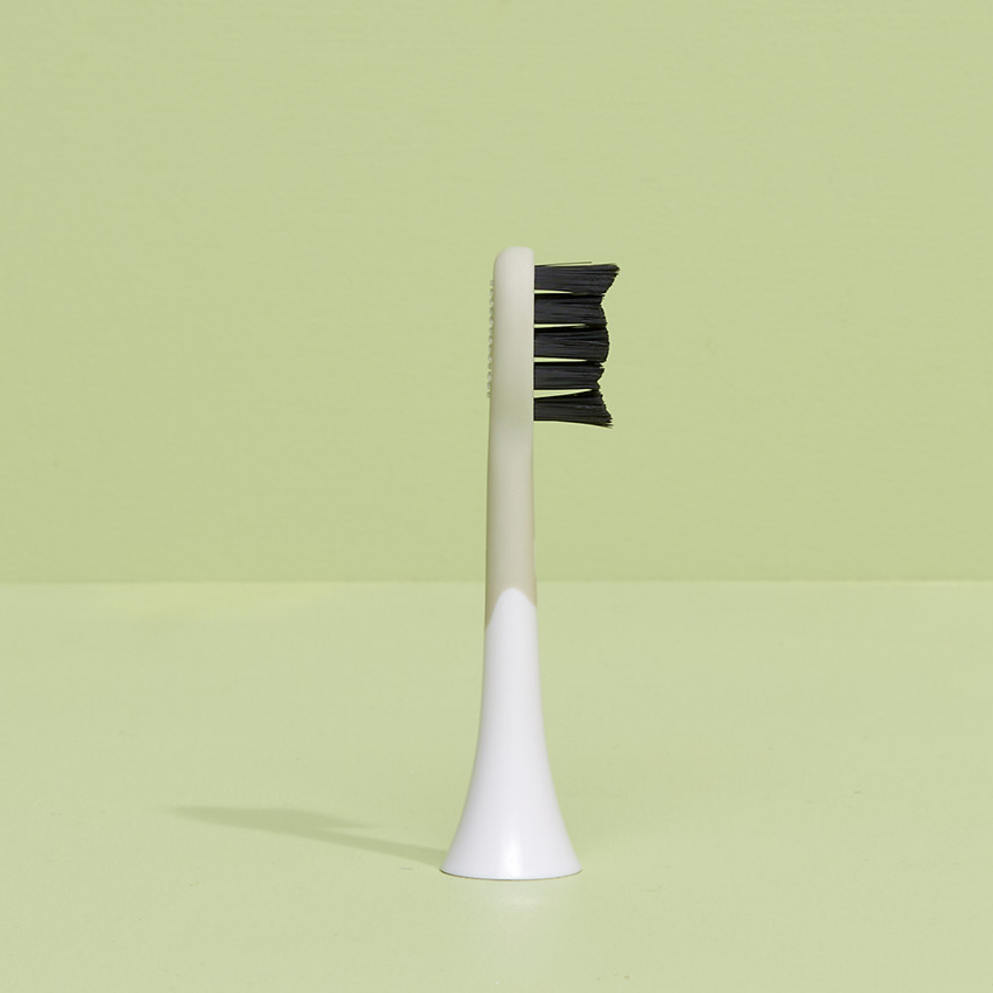 brush head white regular pack