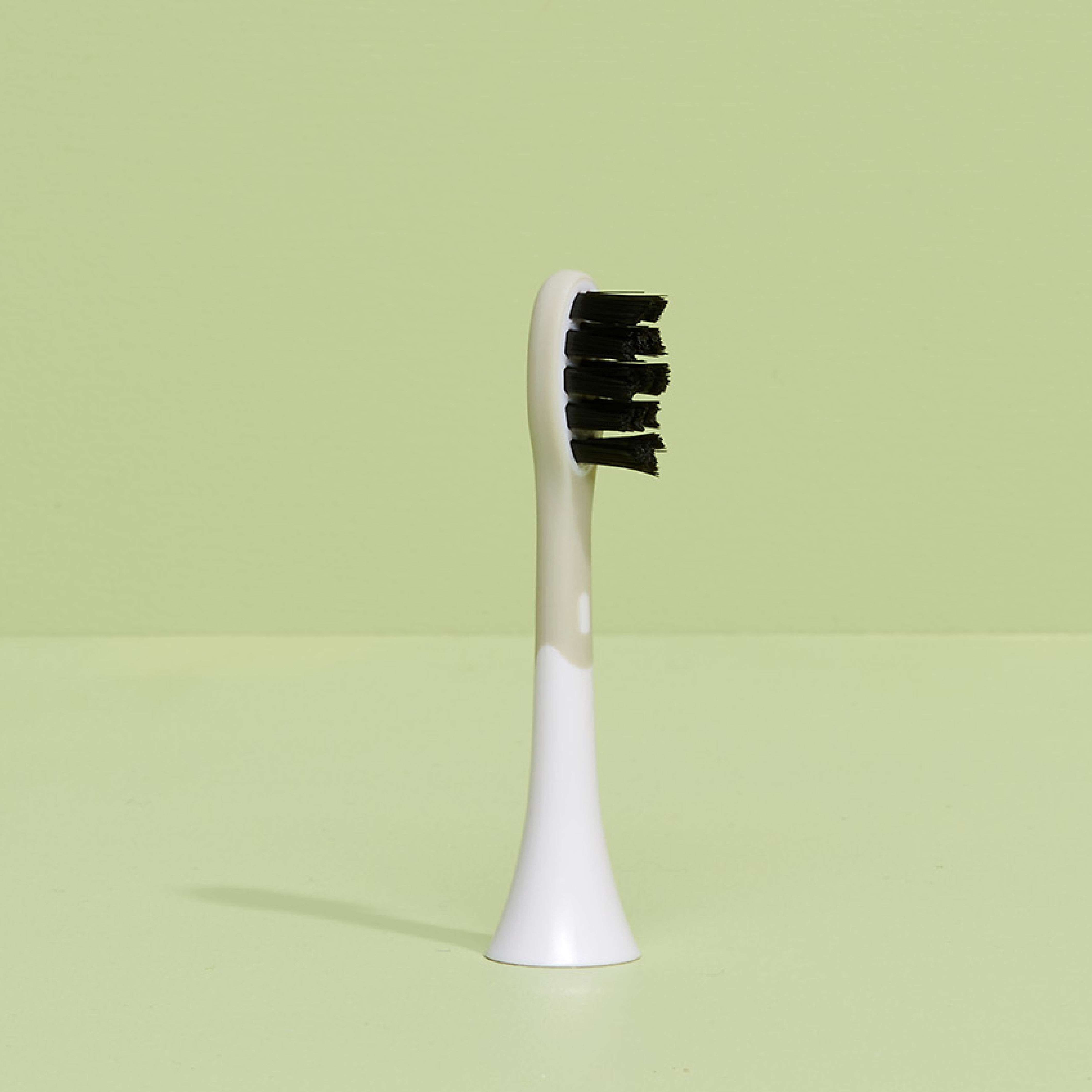 brush head white regular
