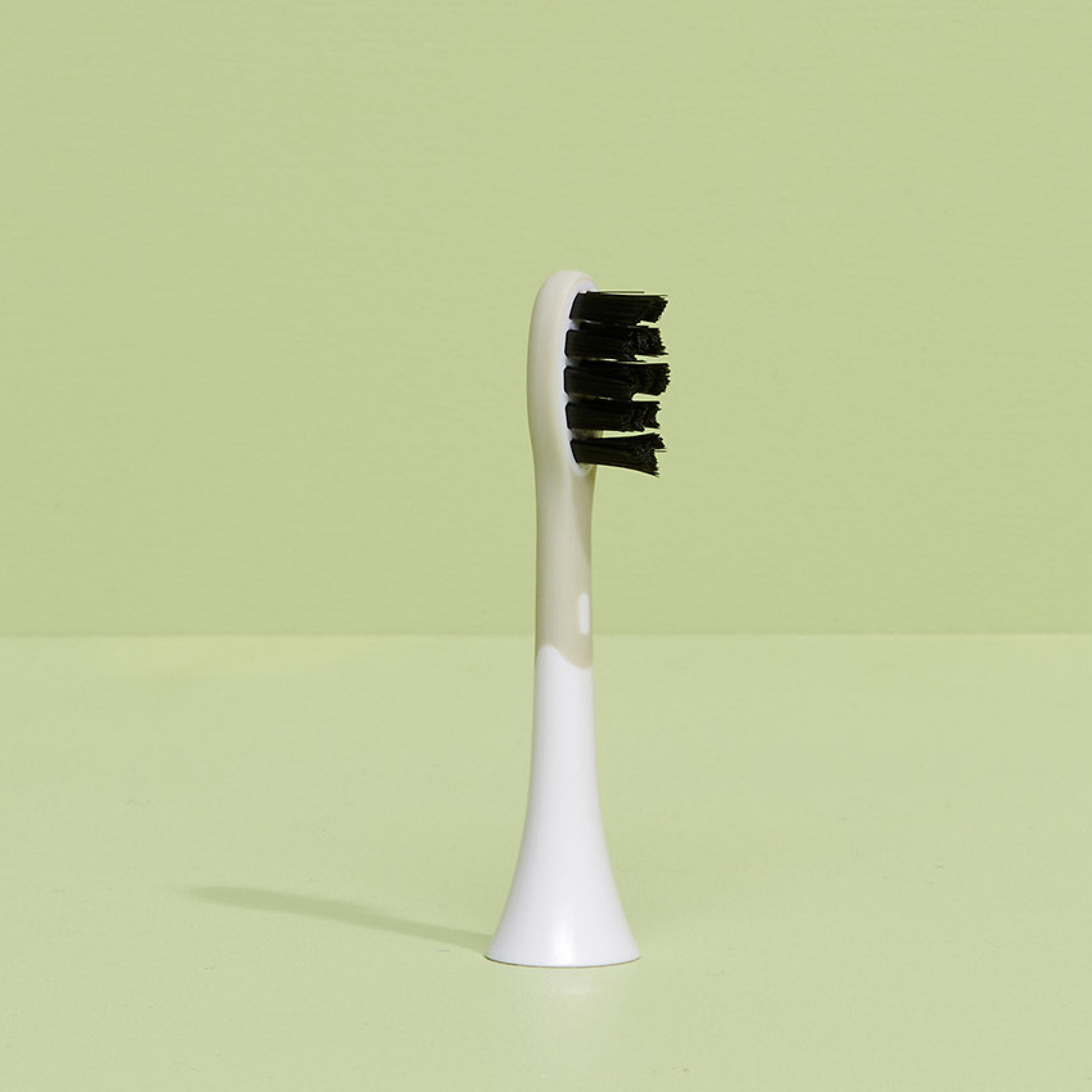 brush head white regular pack