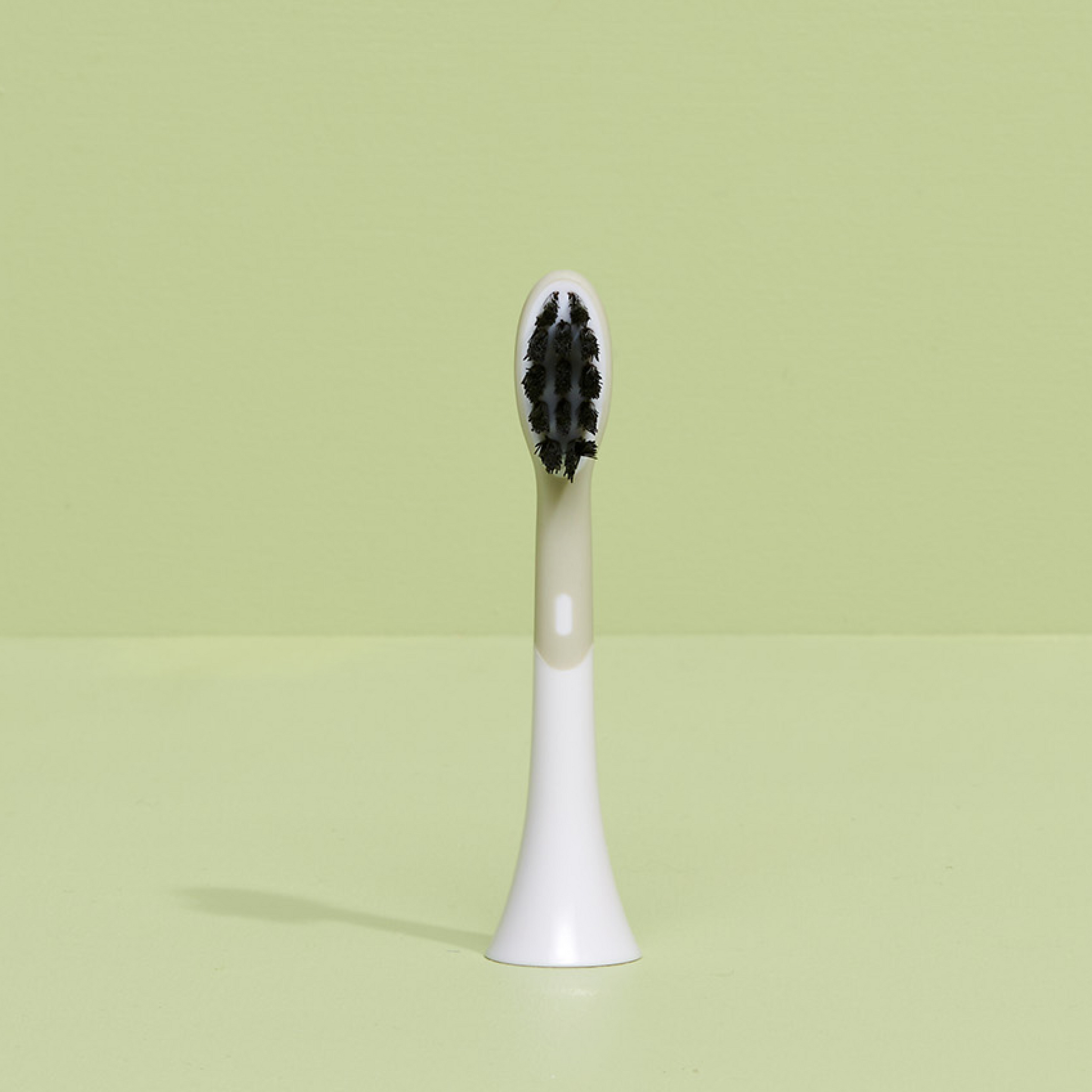 brush head white regular pack