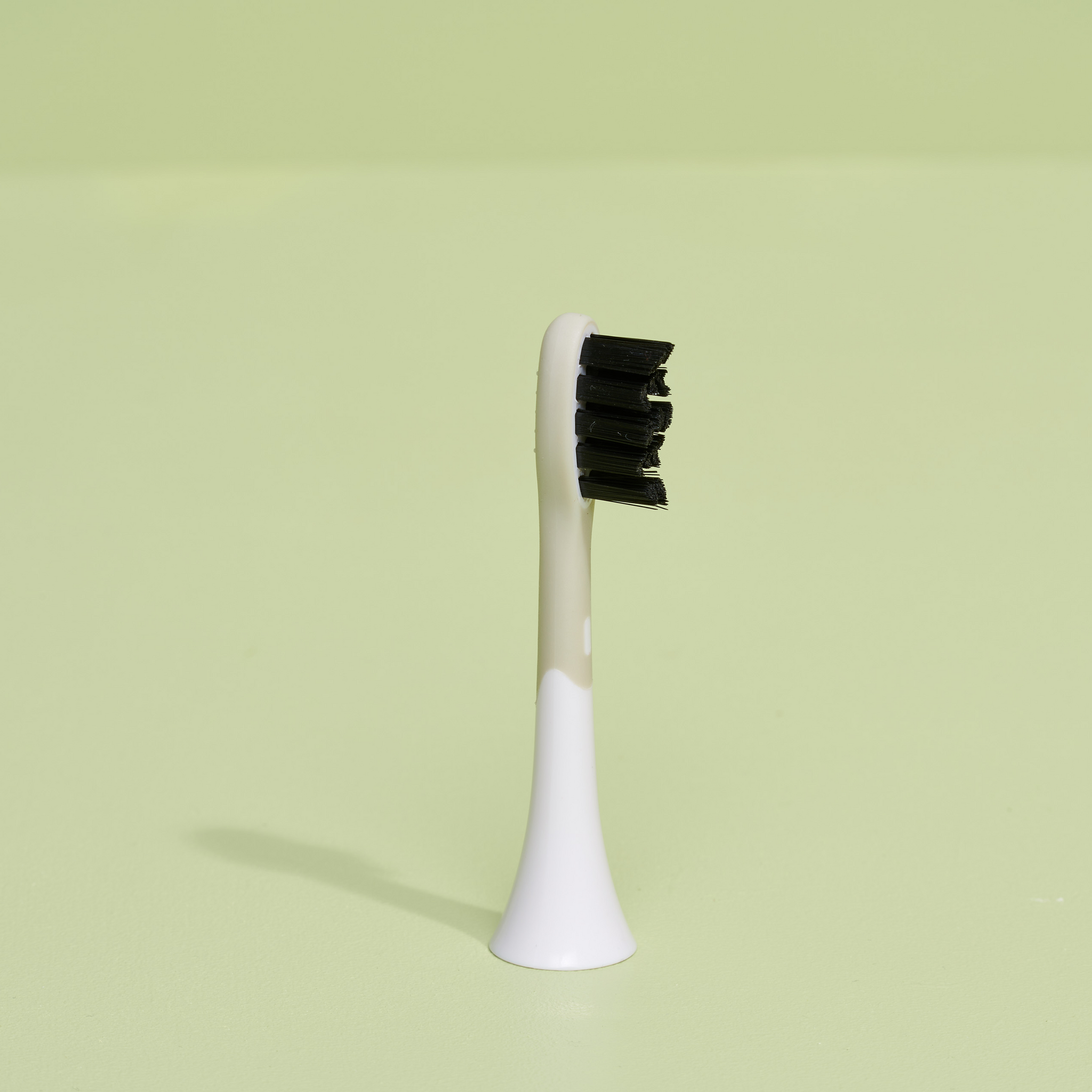 brush head white regular pack