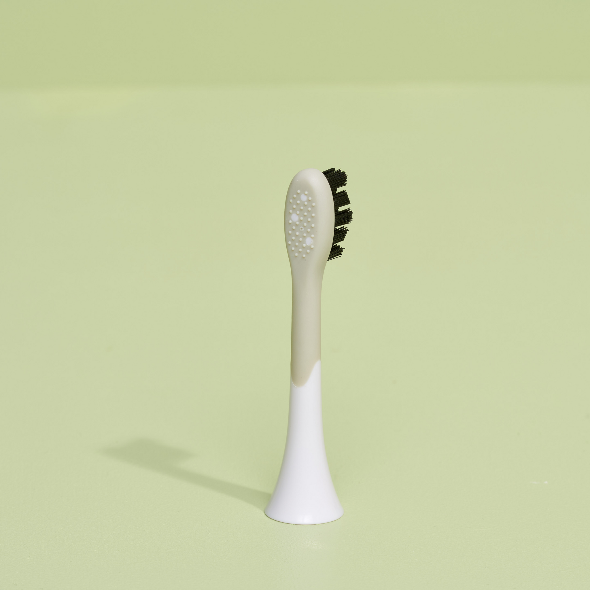 brush head white regular pack