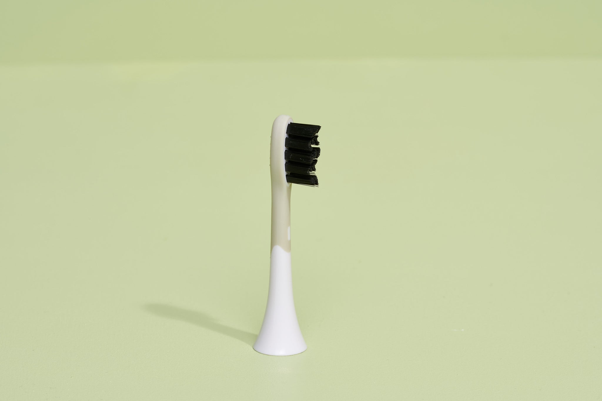 the brush heads